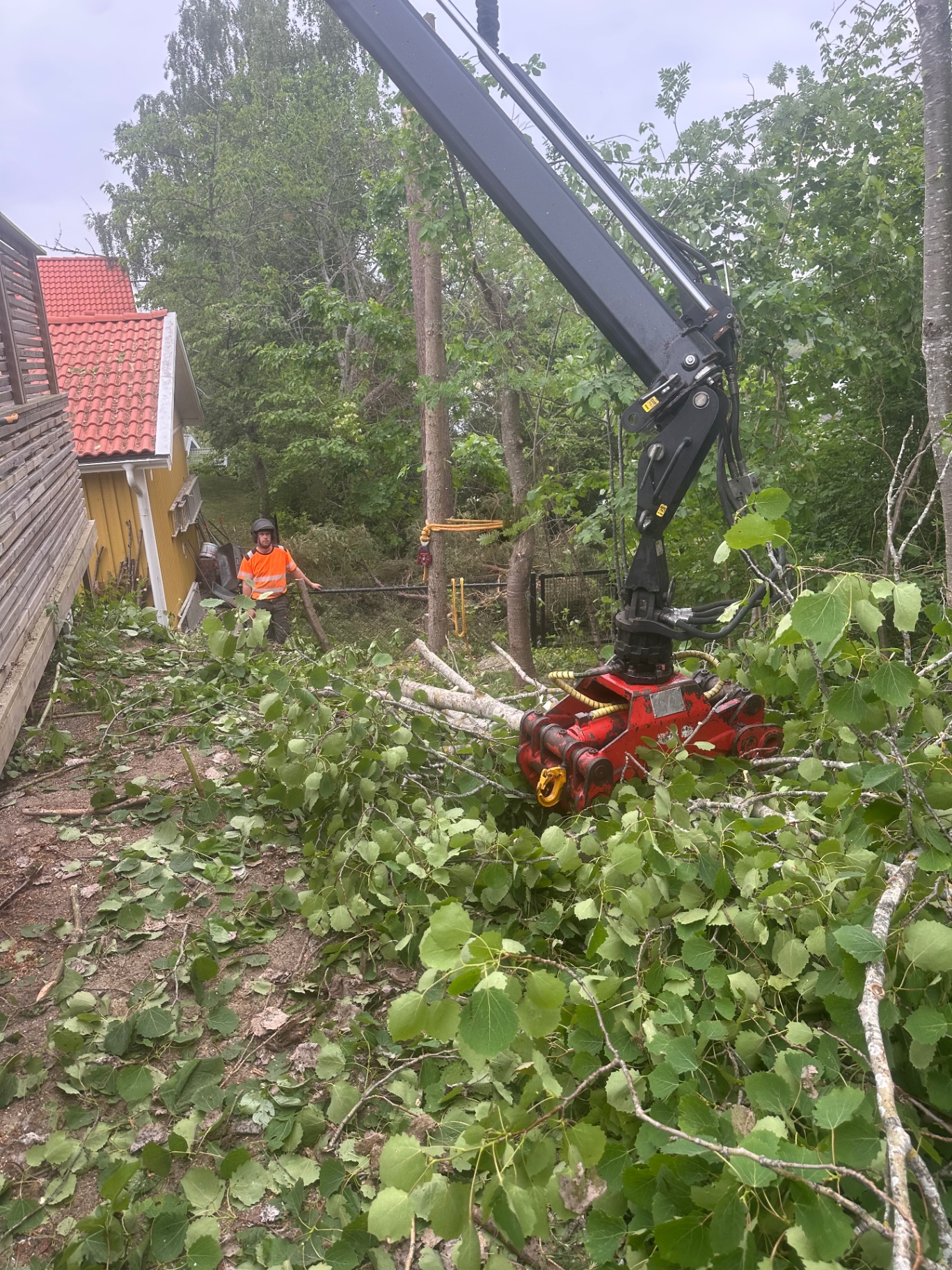 Trädfällning med kranbil på villatomt i Nynäshamn